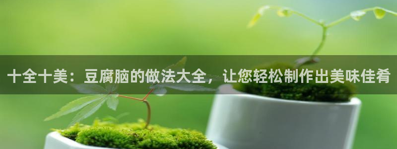 十全十美：豆腐脑的做法大全，让您轻松制作出美味佳肴